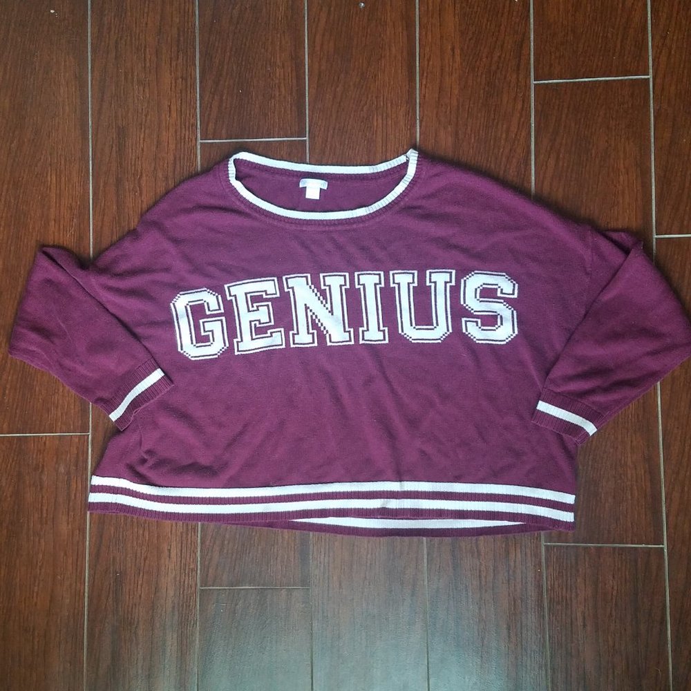 Xhilaration Genius Crop Sweater Longsleeve Maroon Large